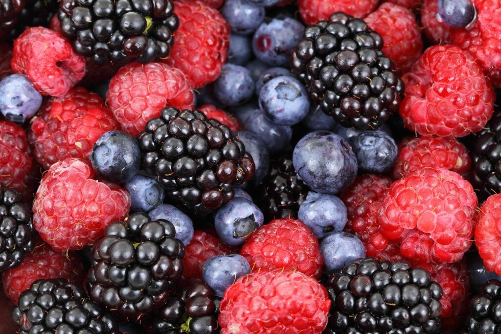 blueberries-berries