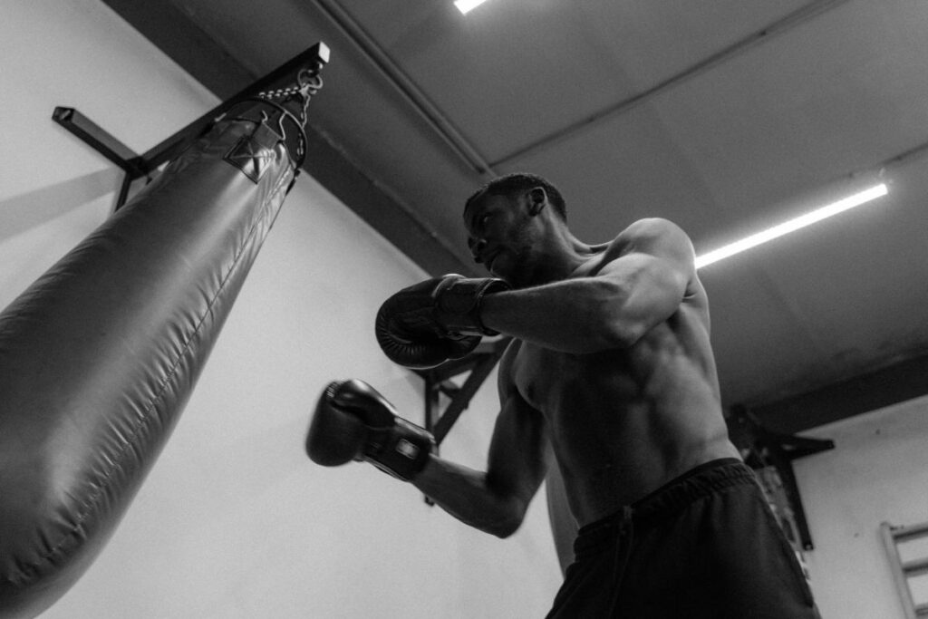 Boxer Punching Bag