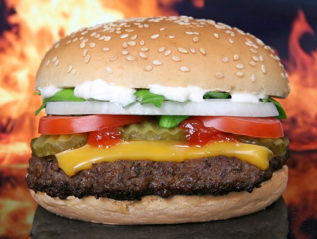 hamburger-fast-food